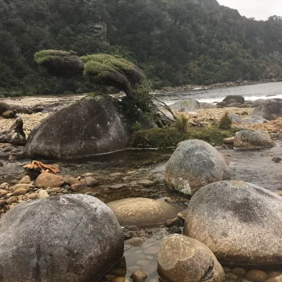 Southern Fiordland Clean Up 2021
